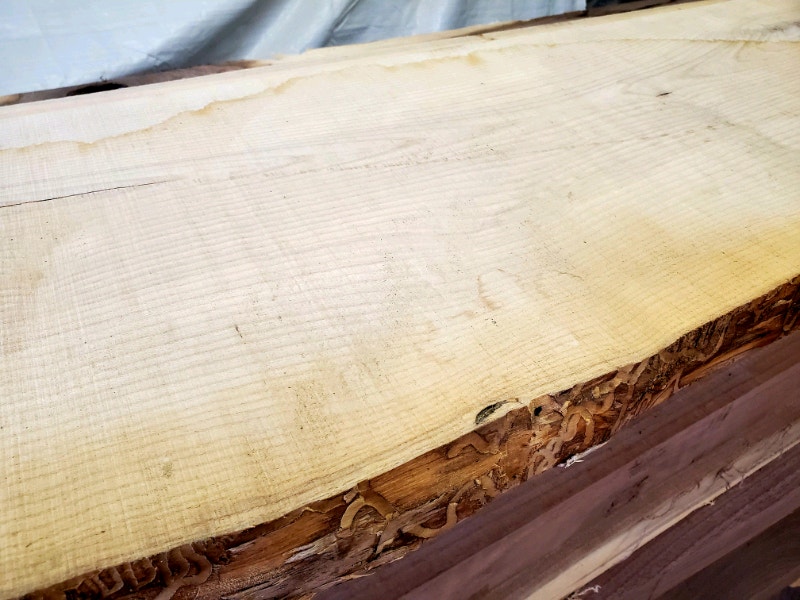 Live edge, white ash, kiln dried shelf/ mantel / bar top Bookcases