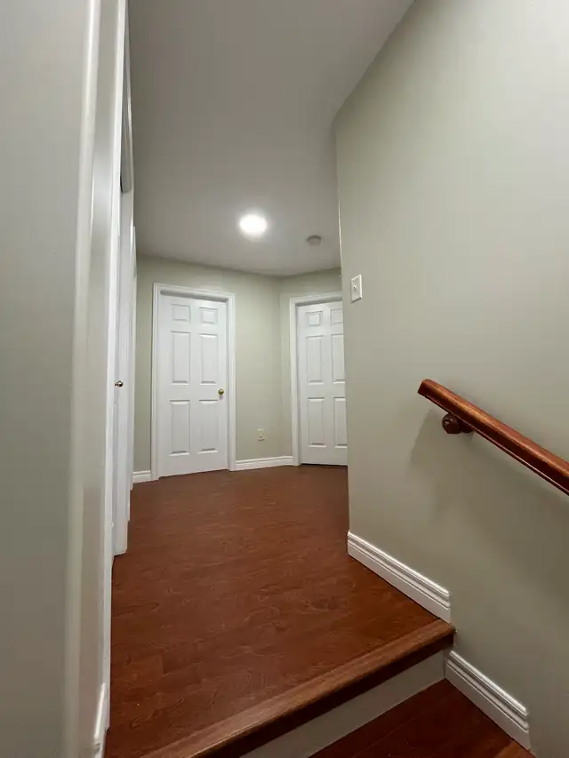 Professional Painter487253617956638721