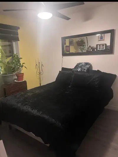 Belle chambre a louer dans un beau 4et demi près du métro Papineau. Tout inclus wifi, laveuse sécheu...