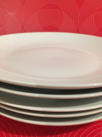  White Dinner Plates 5