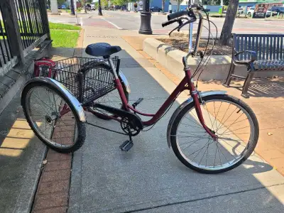 Working adult 3 speed, basic 3 speed. Calls only please.