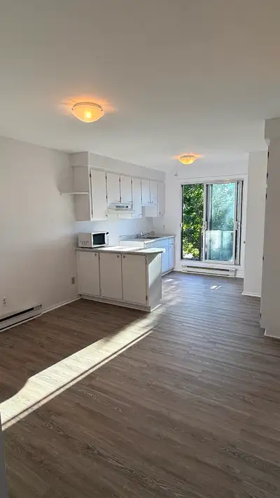 Lumineux 4½ (2 chambres) non meublé à louer à Laval-des-Rapides — disponible immédiatement. • À ~500...