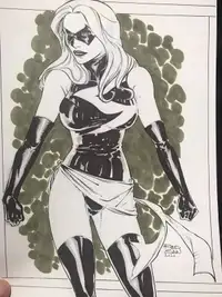 Assorted Original Art Vampirella Black Cat Captain Marvel