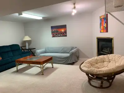 One large BR in 2 BR basement unit