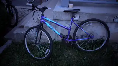 adults bikes  & kid bikes for sale starting $10, View more