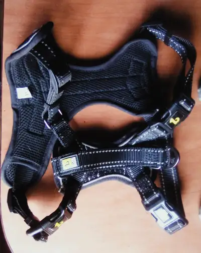 Dog Harness / Harnais pour Chien, View more