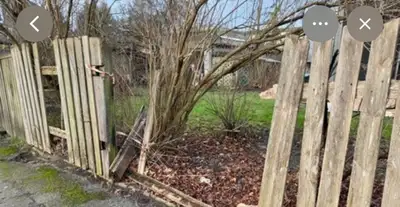 Beware of Randall- Randy Husky Fence, View more