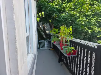 6 1/2 au Plateau-Mont-Royal à deux pas du métro Laurier. 3 chambres fermées et meublées. Le chauffag...