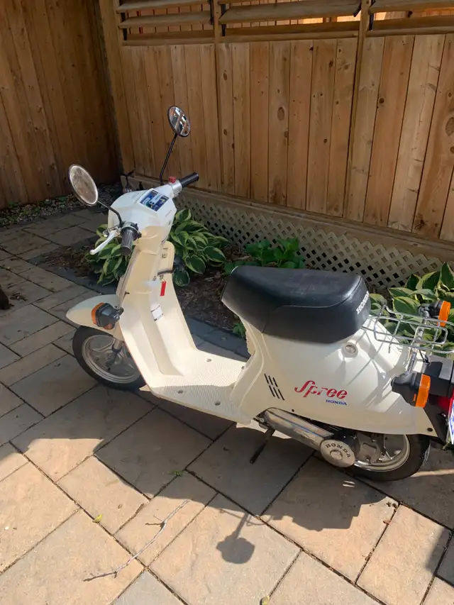 1984 HONDA SPREE - NQ50 - $1750 CAD$ in Scooters & Pocket Bikes in Mississauga / Peel Region - Image 2