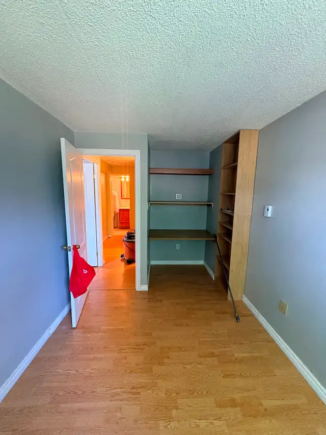 Professional Painter507645034381987846