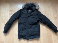 North Face Men’s Gotham Jacket