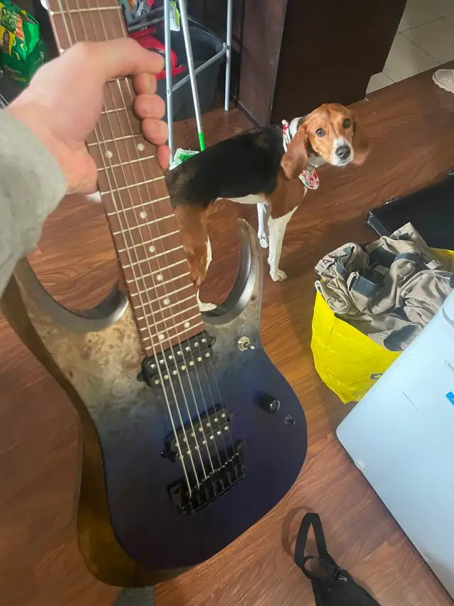 Guitarist who plays metal/slam/hardcore looking for a band