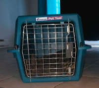 Cage de transport pour chat ou petit chien