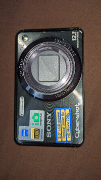 Sony Cyber-Shot DSC-W290 12.1 MP Digital Camera
