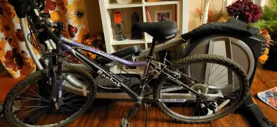 Womens Reebok 21 speed mountain bike. I'm moving soon , so downsizing. In good condition, good tires...
