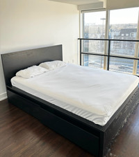 Moving sale - IKEA MALM Queen Bedframe 