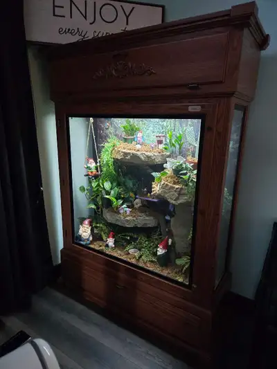 Magestic Enclosure , View more