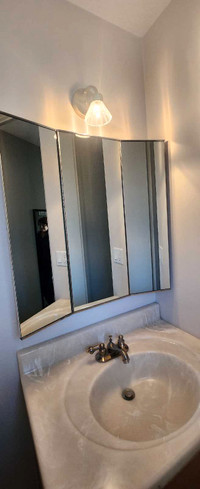 Bathroom mirrored cabinet