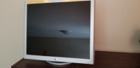 19-inch HP Computer Monitor for Sale