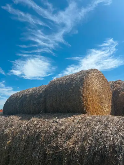 Straw bales, View more