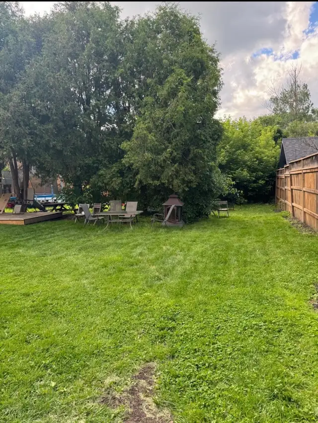 Beautiful 100yo Main Floor House for Rent in Long Term Rentals in Guelph - Image 4