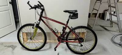 Vintage Mountain Bike VooDoo Erzulie, View more