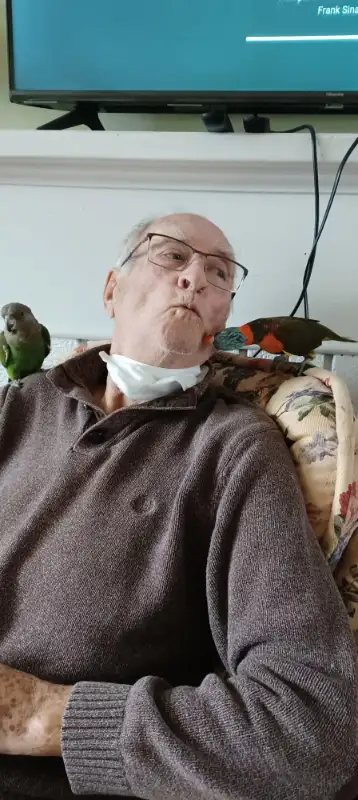 Lorikeet parrot very tame,talk,dance,sociabilize in Birds for Rehoming in Oshawa / Durham Region - Image 5