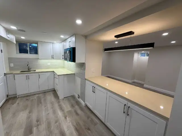 Professional Basement Renovations531194419536865289