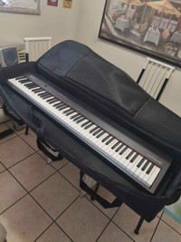 LEVY'S padded case for pianos keyboards in excellent condition 