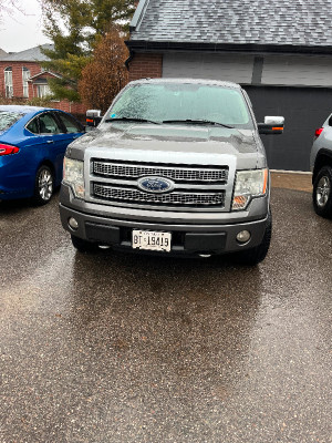 2010 Ford F 150 Platinum