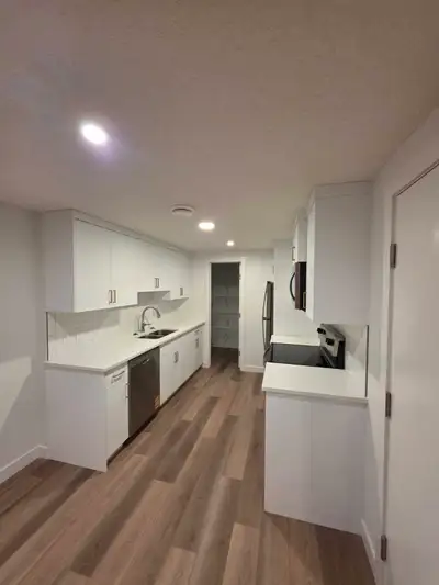 Brand new 1 bedroom basement suite