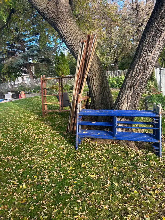 Scaffolding584654900618209281