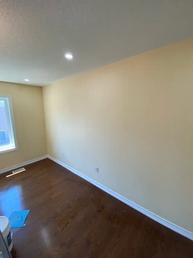 AFFORDABLE, PROFESSIONAL PAINTER 523046312624803841