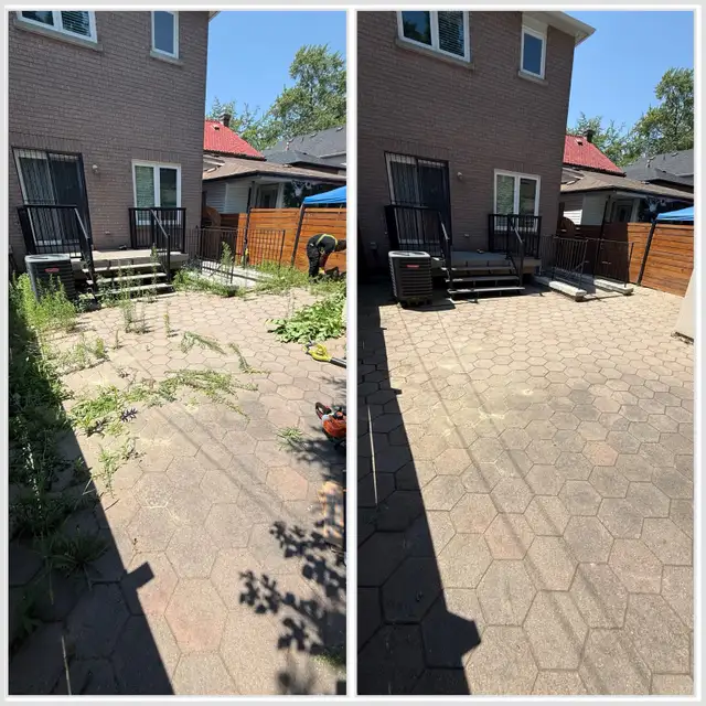Landscaping & Lawn Care Services | Yard Cleanup & Grass Cutting in Lawn, Tree Maintenance & Eavestrough in City of Toronto - Image 5