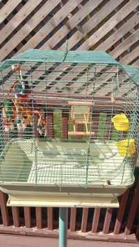 Bird cage with food