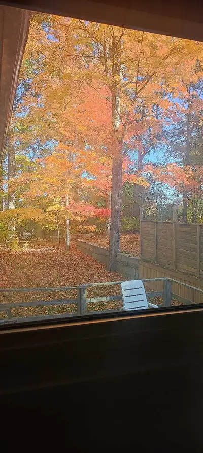 Very well ventilated, spacious and private room available for rent in a basement unit from December...