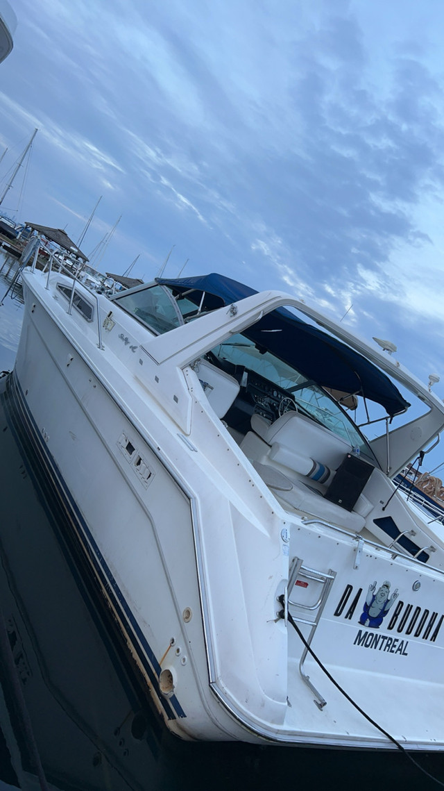  1992 Searay, express 370 in Powerboats & Motorboats in Mississauga / Peel Region - Image 2