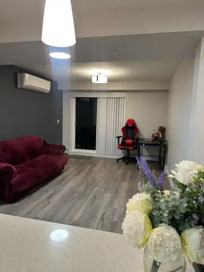 Private Bedroom with attached Bathroom available with immediate movein , In a 2bhk 2 bath apartment....