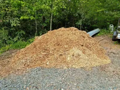 Taking Mulch, Stones and Bricks - Free Dump Spot, View more