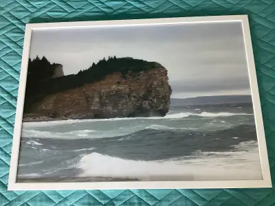 Divers petits objets à donner. Photos 1 et 2: Photo dans un cadre blanc IKEA (21 pouces X 29 pouces...