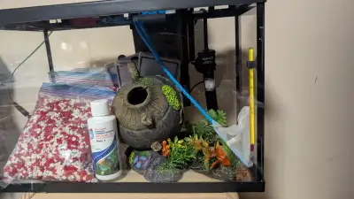 I'm selling this 5.5 gallon aquarium. It comes with many accessories. There's a plastic broken vase...