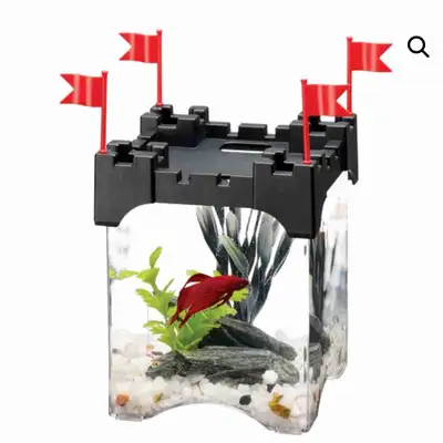 Betta fish tank, View more