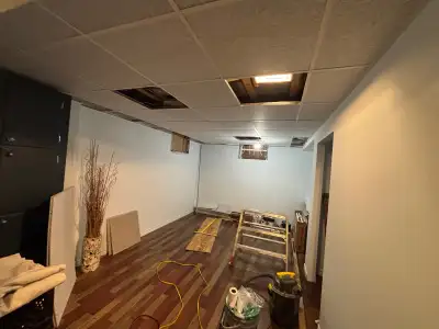 Suspended ceiling installer looking to do small basement project, View more