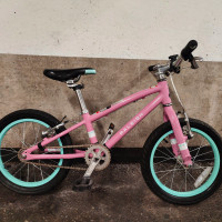 Top Rated Aluminum (Light) Raleigh Lily Bike for KIDS 4-6 SZ 16"