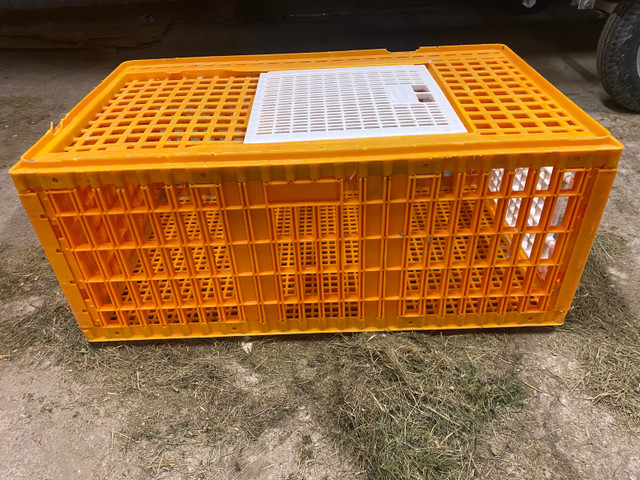 Heavy Duty Chicken Crate in Equestrian & Livestock Accessories in Brantford