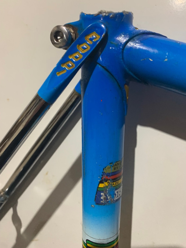 Trade: Coppi SLX for Japanese Frame in Frames & Parts in North Bay - Image 3