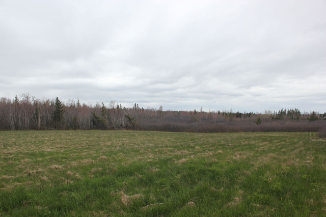 Northshore of NS - 28 acres field & forest in Land for Sale in Truro - Image 2