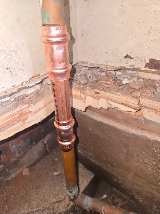 Plumbing & Gas Services599597909332480001
