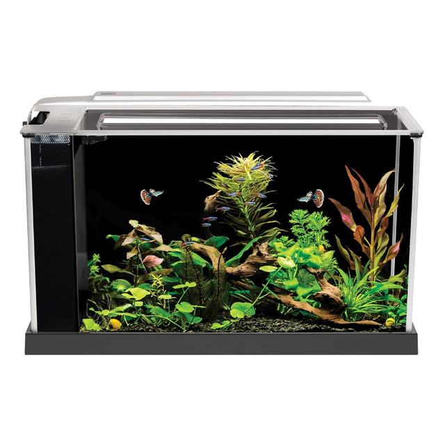 BNIB Fluval SPEC V Desktop Aquarium Kit - Black - 5 gal in Fish for Rehoming in Kitchener / Waterloo - Image 2