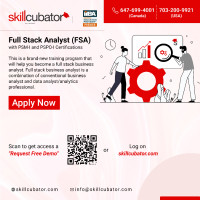Full Stack Business Analyst (Business Analyst + Data Analyst)